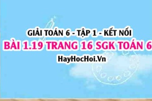 Giải bài 1.19 trang 16 Toán 6 Tập 1 SGK Kết nối tri thức